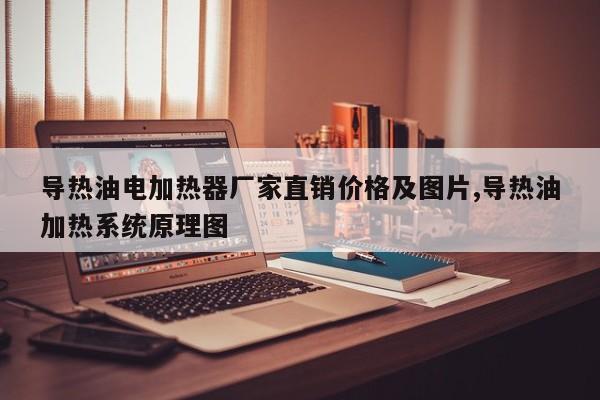 导热油电加热器厂家直销价格及图片,导热油加热系统原理图