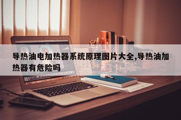 导热油电加热器系统原理图片大全,导热油加热器有危险吗